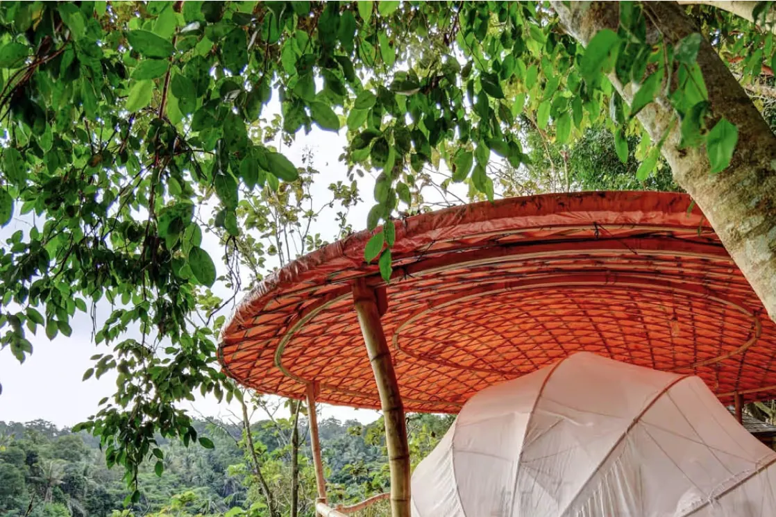 Ein Mahogany Tent im Blätterdach